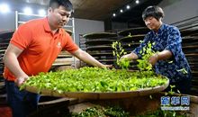 一个坚守传统的人