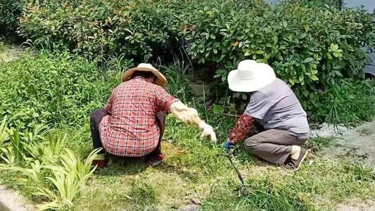 惊人的场面