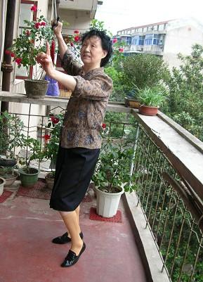 婆婆的手
