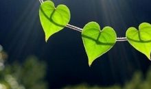 那一抹耀眼的绿