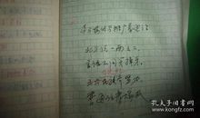 藏在批注里的暖