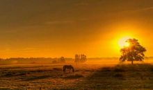 人生路上欢乐多