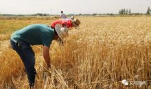 收获成长的快乐