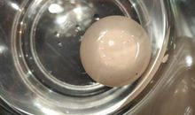 鸡蛋沉浮的奥秘