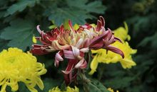 和谐之美，美在友善