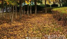 秋天是位魔术师