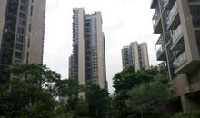 小区花园的春天