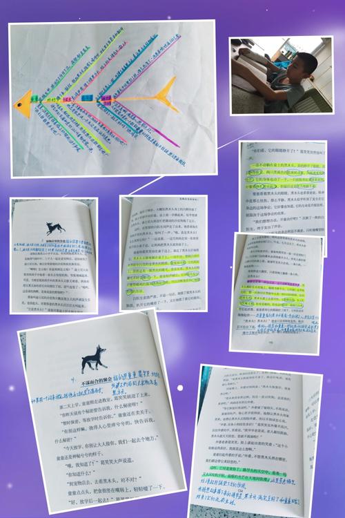 关于阅读《黑木》的思考