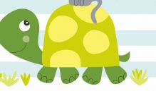 乌龟和小猫的比赛