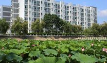 春天的校园真美