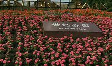 世纪公园一日游