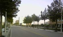 晒出我的敬佩之情