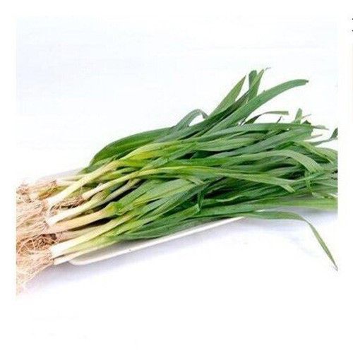 大蒜比赛