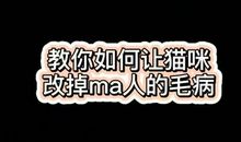 拂春琴，奏清乐