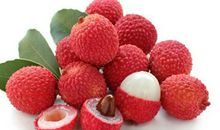 荔枝引起的回忆