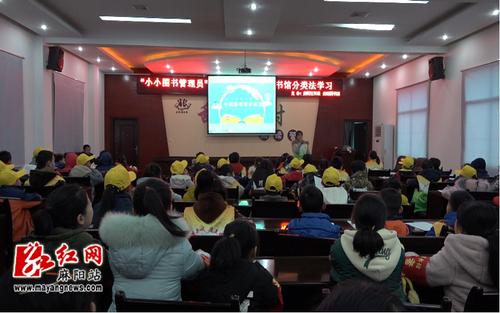 夏季图书馆志愿者活动-我是小图书管理员