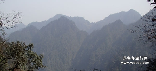 巴山叶山