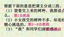 《想什么长什么的种子》读后感