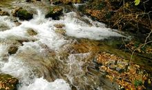 总有风景让我陶醉