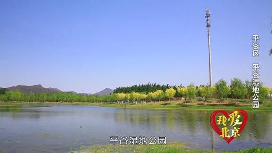我爱公园