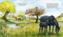 藏在平凡中的暖