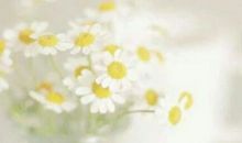 生活需要独处时光