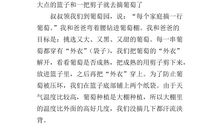 摘葡萄作文400字