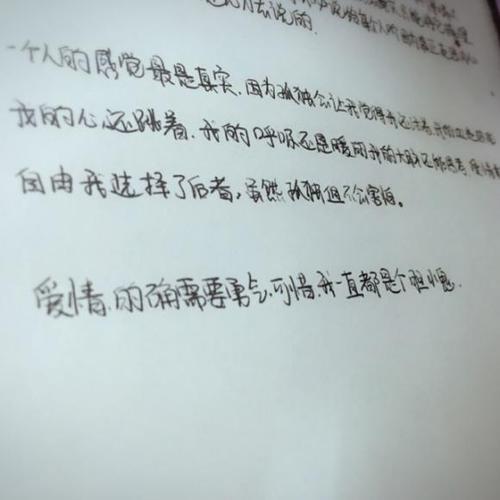 从来没有这样爱过你