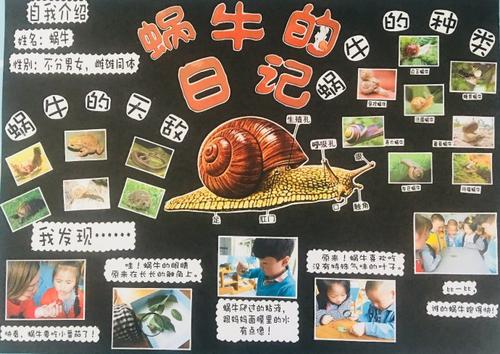 向蜗牛致敬