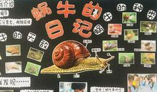 向蜗牛致敬