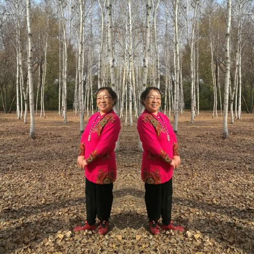 绚丽的日子