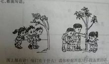 二年级看图写话救小鸟