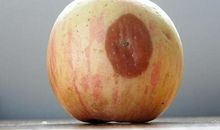 苹果变色的秘密