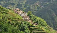 森林公园的四季