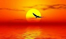 人生意义在于被需要