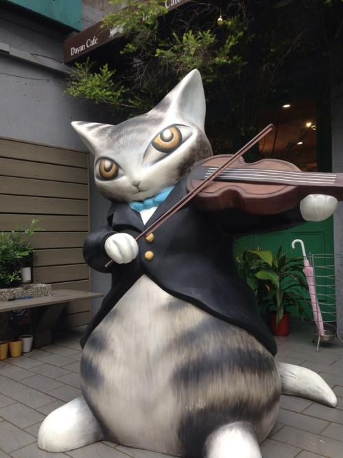 小提琴猫