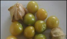 美丽的珍珠菠萝