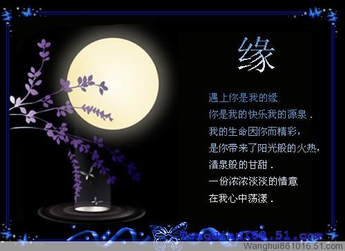 遇见你是我的命运