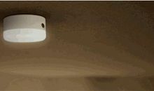 我想我应该是灯