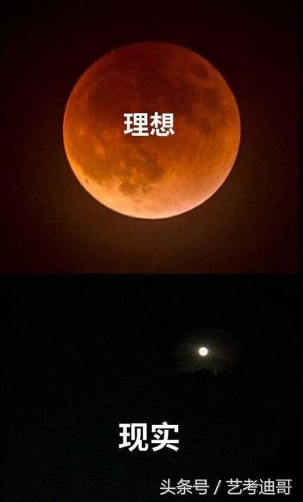 月光与我同在