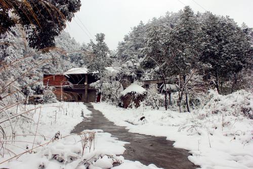 南方雪