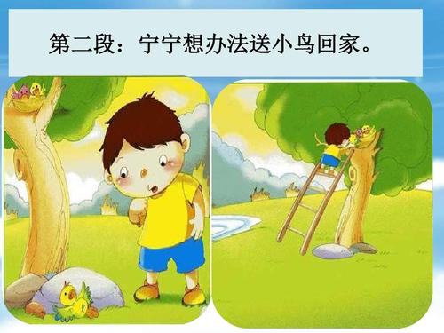 爱鸟