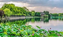 杭州的夏天
