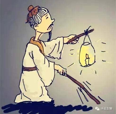 不同的存在