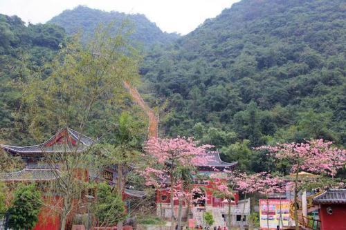 鹿峰山秋季游