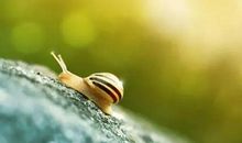 吃也是一件痛苦的事