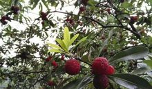 历史文化名城——余姚