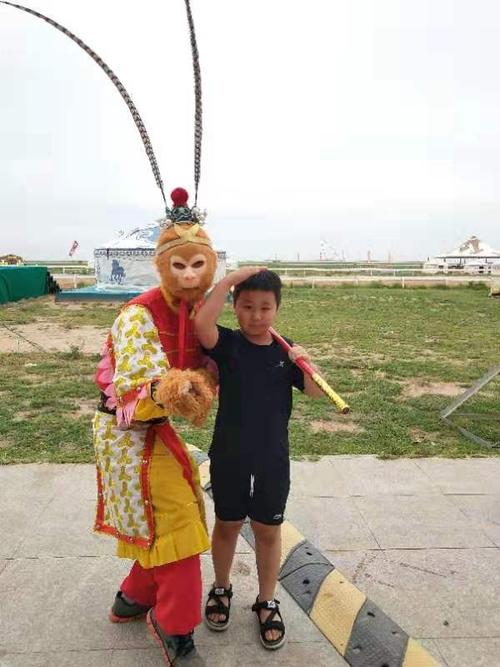 小豌豆的生长