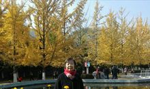 又是一年重阳节