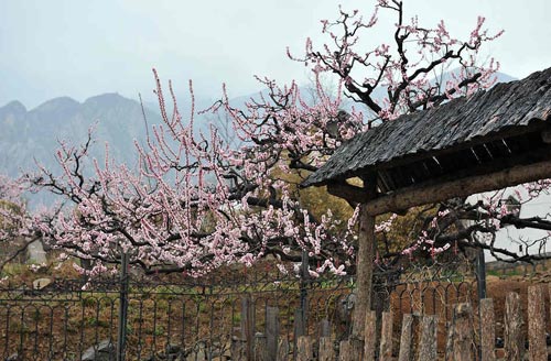 小原·兴化